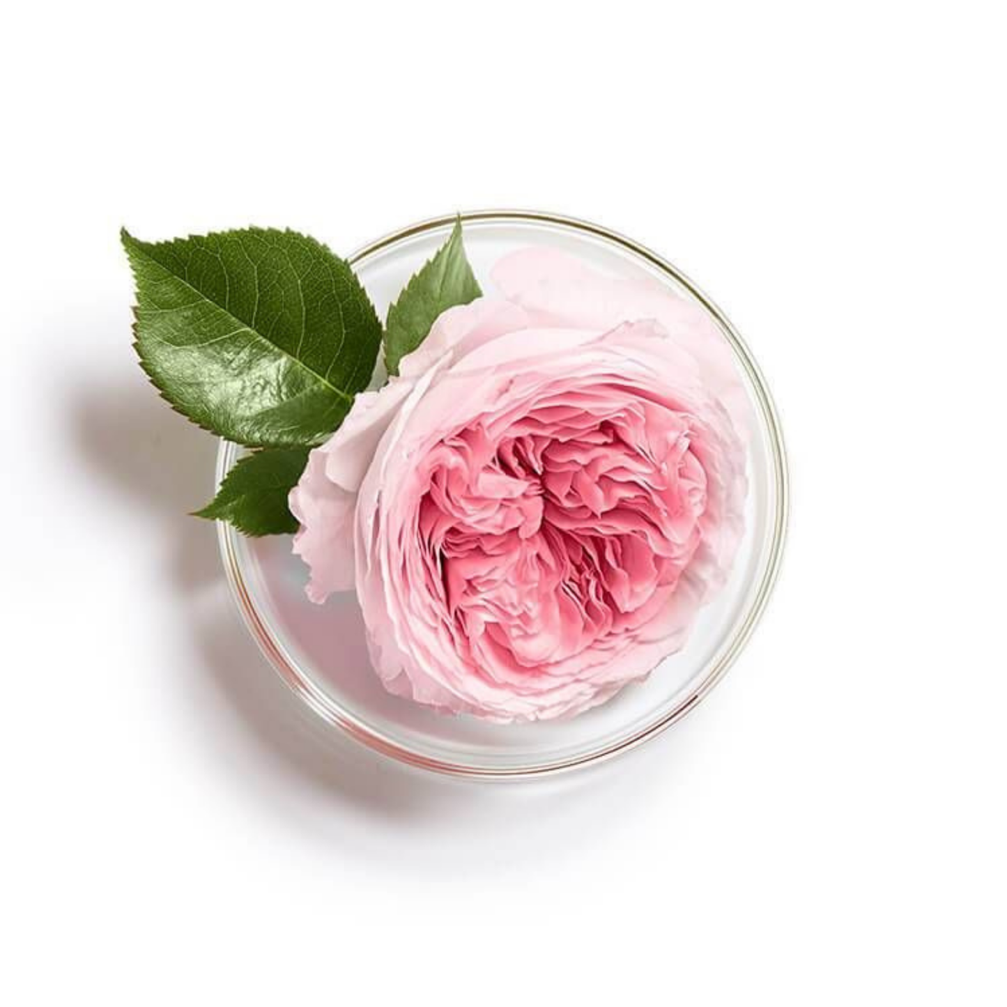 SERUM ULTRA NIACINAMIDE 10%